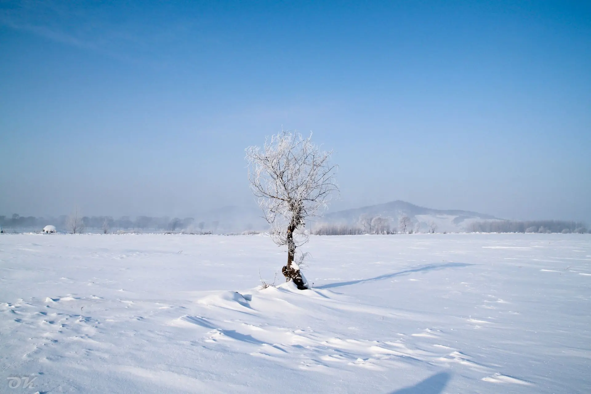 大东北雪原