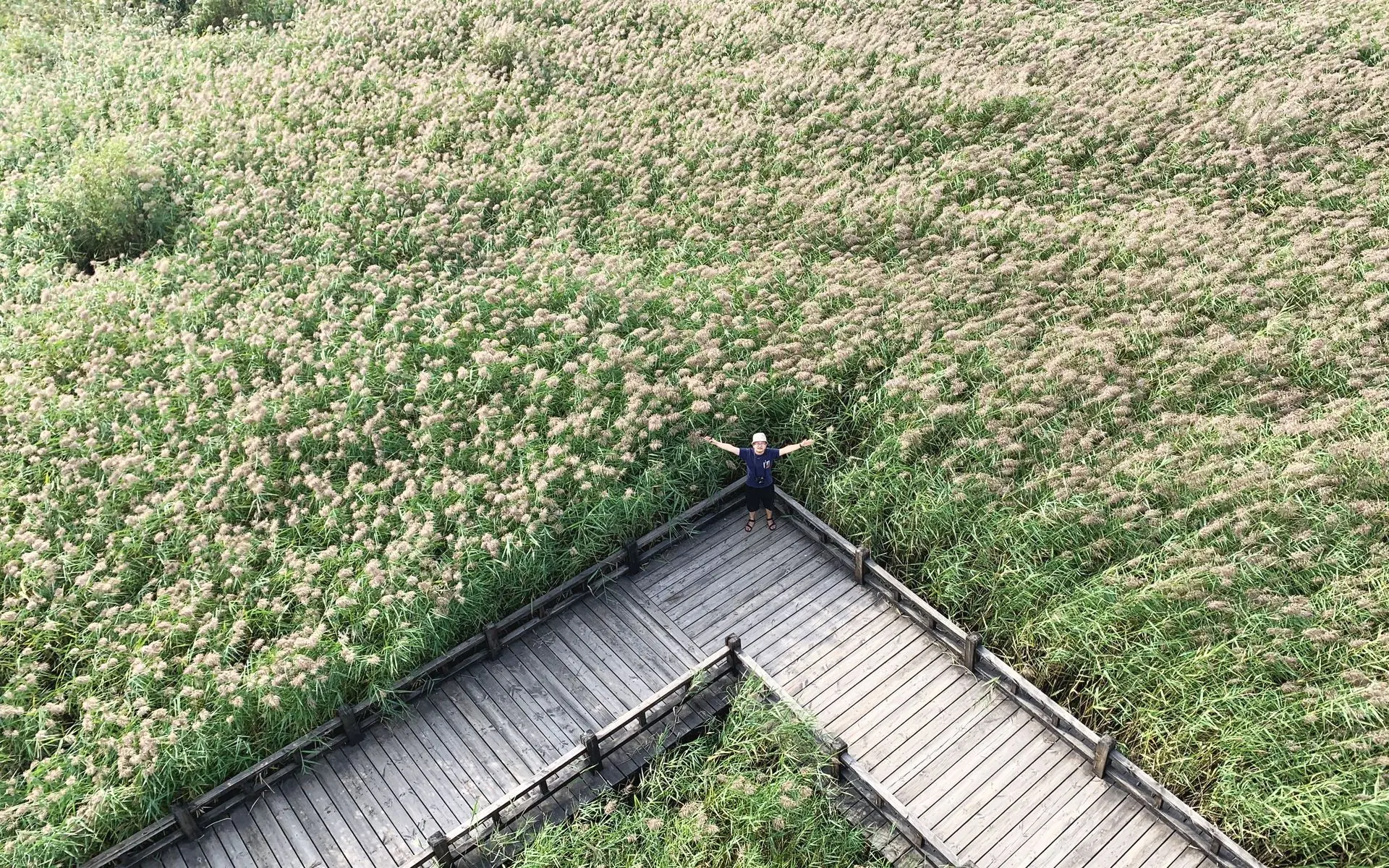 野鸭湖